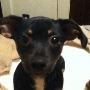 Meet your Posher, Kyle